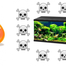 MITO VI. LOS NIÑOS NO ESTÁN PREPARADOS PARA UN ACUARIO CON FILTRO