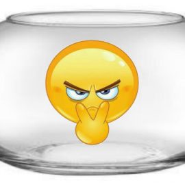 MITO VIII. LAS PECERAS DE BOLA TORTURAN A LOS PECES